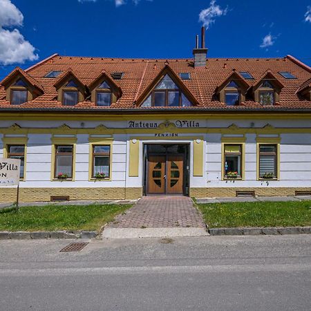 Penzion Antiqua Villa Спишска-Стара-Вес Экстерьер фото